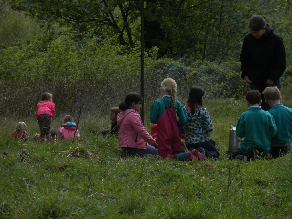 Working in Teams at Forest Schools