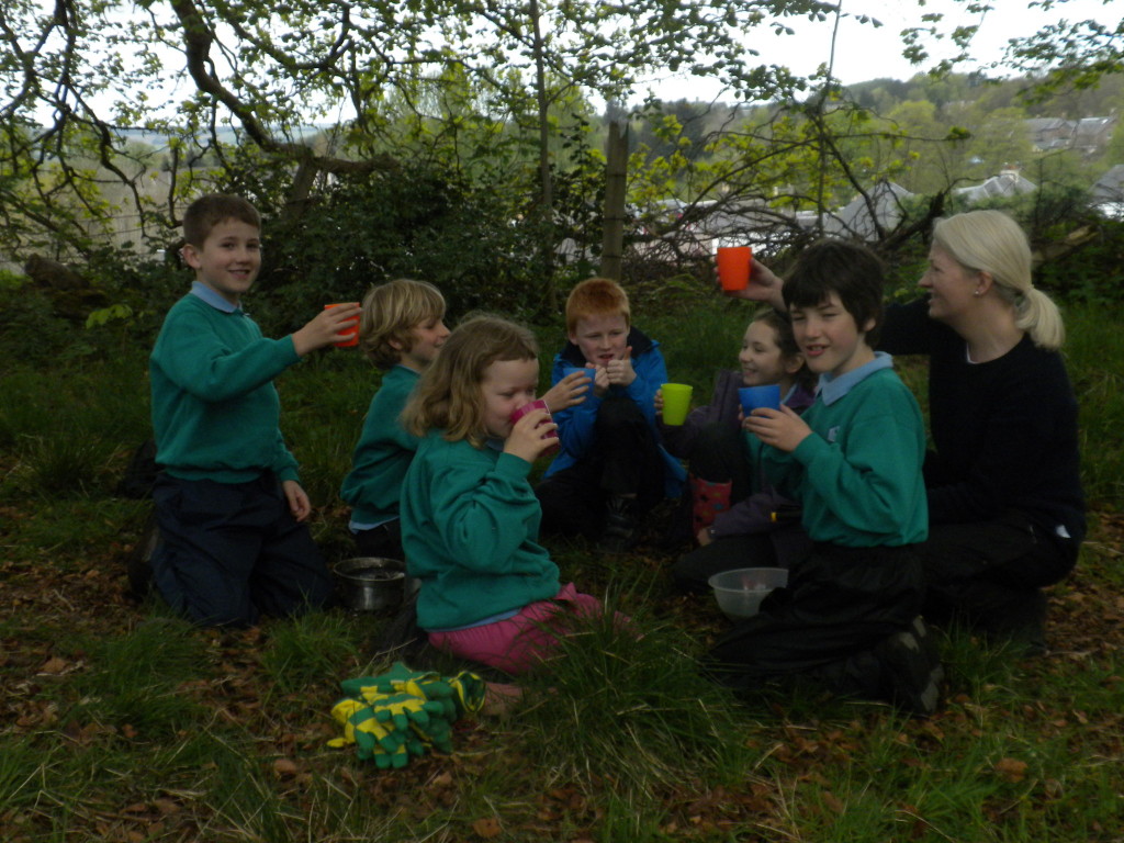 Tasting Our Nettle Tea